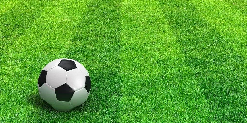 足球比分预判多平台下载